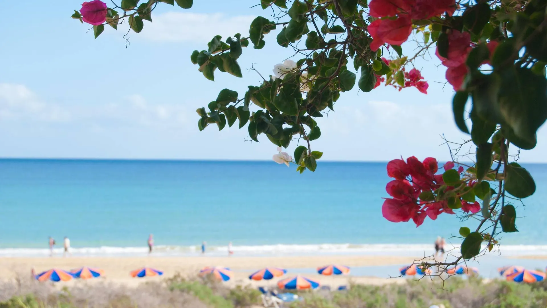 Sbh Taro Beach Hotel Costa Calma 4*,  Spain